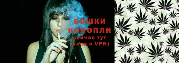 прущий лед Козловка