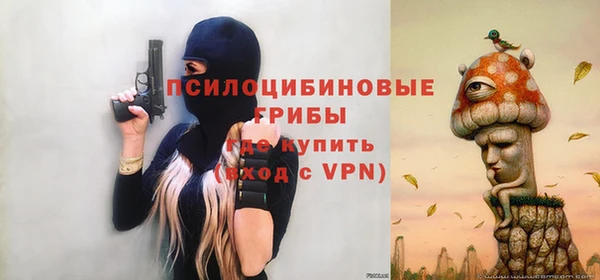 амф Кодинск