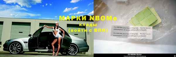 прущий лед Козловка