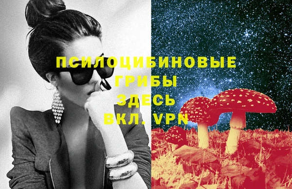 амф Кодинск