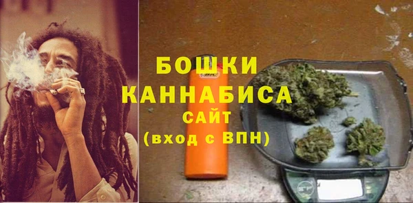 прущий лед Козловка