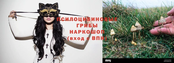 прущий лед Козловка