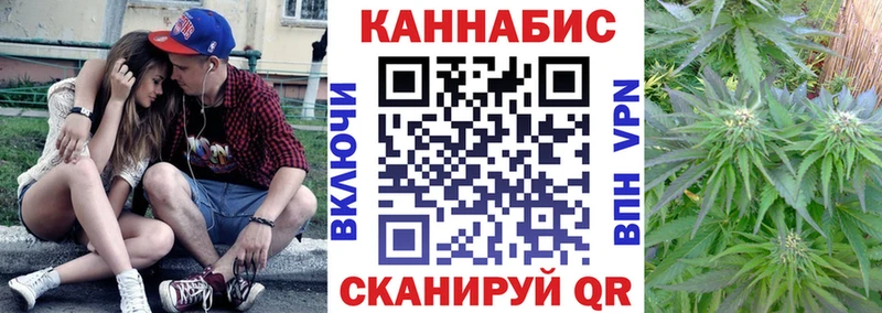 Бошки марихуана Bruce Banner  Купить  Дмитров 